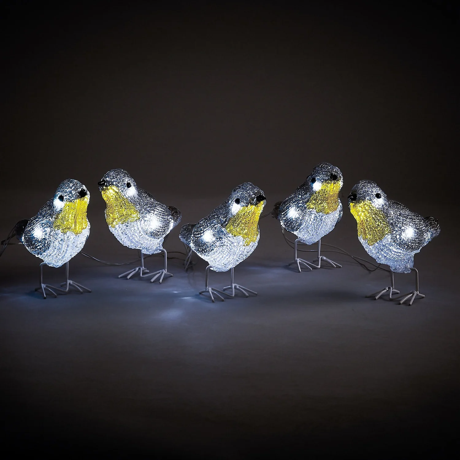 Acrylic LED Robins Outdoor Christmas Decoration - Set Of 5 (Battery Operated) 1 Acrylic LED Robins Outdoor Christmas Decoration - Set Of 5 (Battery Operated)