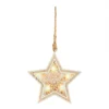 Hanging Star Christmas Tree Decoration (Battery Operated)